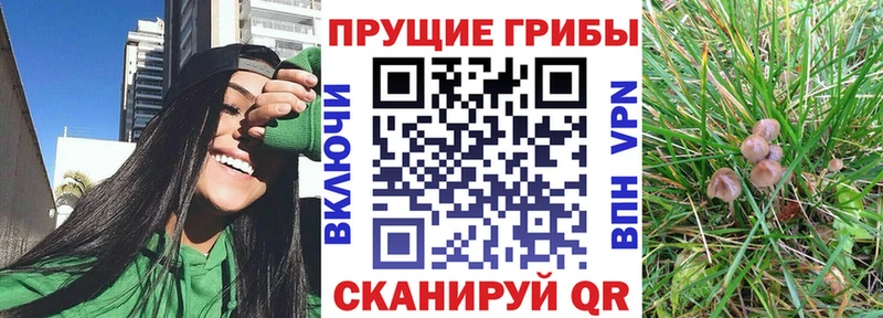 Галлюциногенные грибы прущие грибы Ардатов