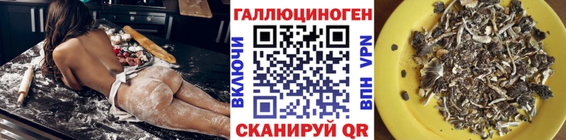 mega ТОР  Ардатов  Галлюциногенные грибы Magic Shrooms 